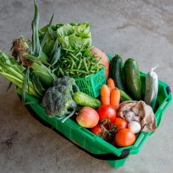 Lee and Maria's Sprout Subscription Box